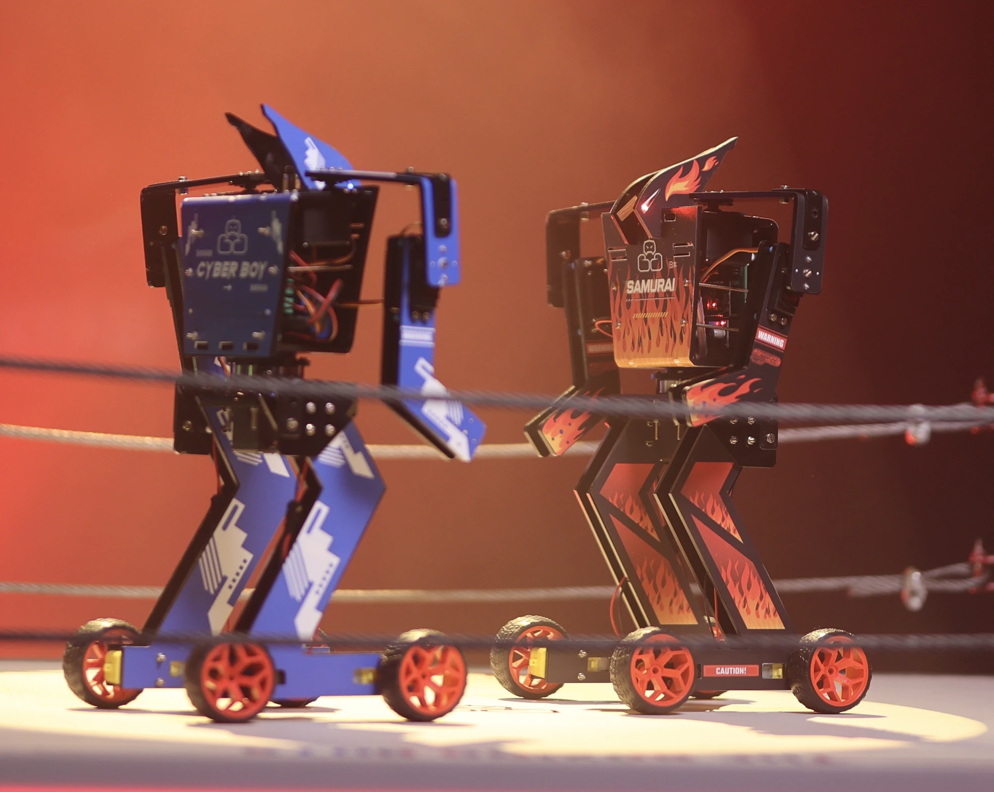 Cyber Boy and Samurai boxing robots facing off in the ring